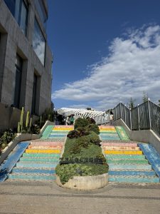 IMG_5454